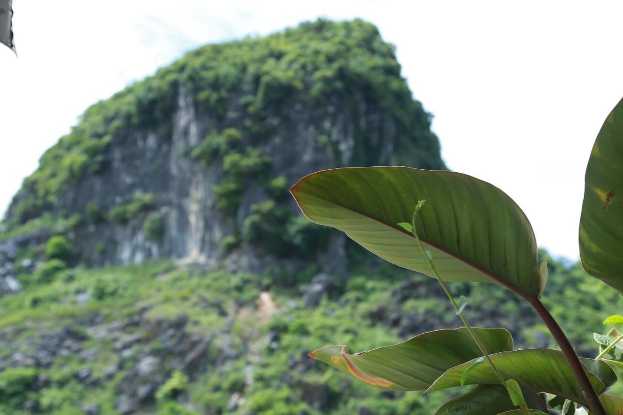 Hotel Thanh Phat Phong Nha Exterior foto